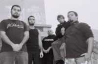 interview Drifting Breed